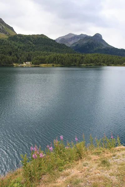 Bellissimo Paesaggio Del Lago Silvaplana Engadina — Foto Stock