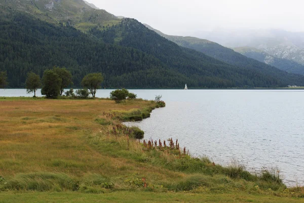 Prachtig Landschap Van Het Silvaplanameer Engadine — Stockfoto