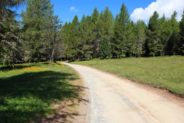 Camino Los Lagos Palasinaz Valle Ayas Valle Aosta — Foto de Stock