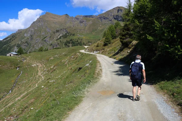 Path Palasinaz Lakes Ayas Valley Valle Aosta — стоковое фото