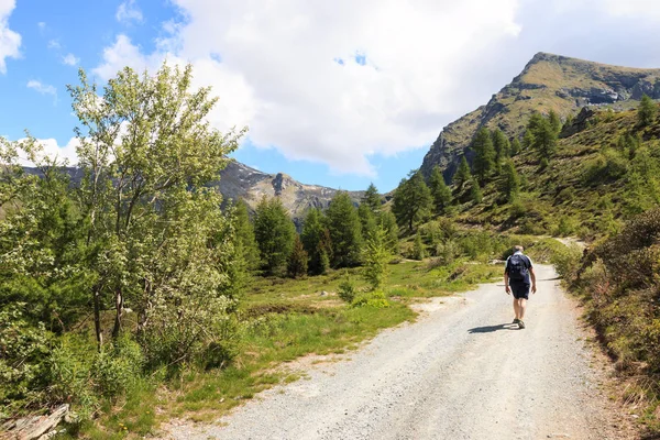 Cesta Palasinaz Jezerům Údolí Ayas Valle Aosta — Stock fotografie