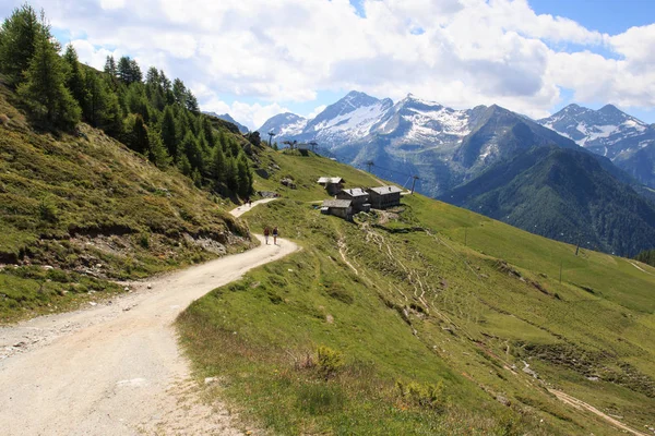 Pad Naar Palasinaz Meren Vallei Van Ayas Valle Aosta — Stockfoto