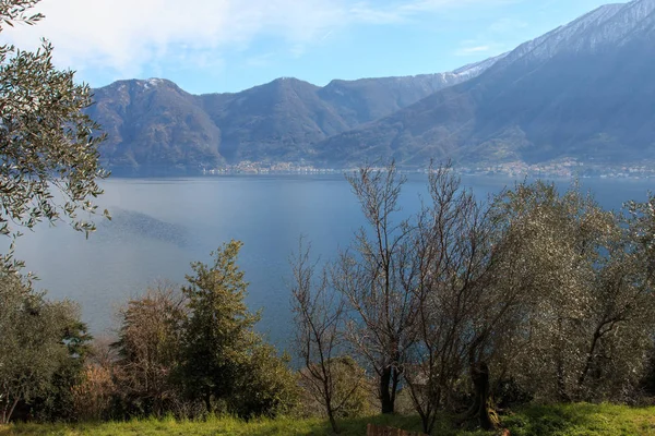 Sala Comacina Como Gölü Nün Manzara — Stok fotoğraf