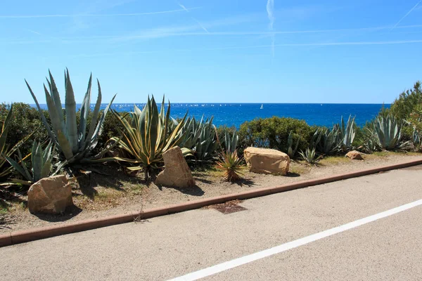 San Lorenzo Mare Liguria Için Bisiklet Yolu — Stok fotoğraf