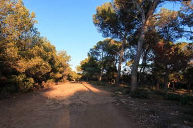 Cala Macarella - Menorca Adası (Balear Adaları karşı yolu)
