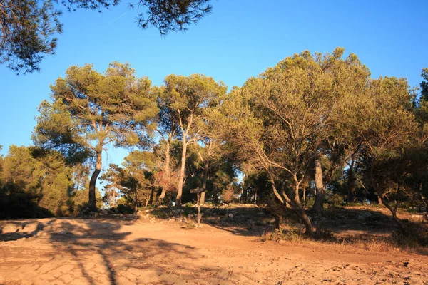 Cala Macarella Menorca Adası Balear Adaları Karşı Yolu — Stok fotoğraf