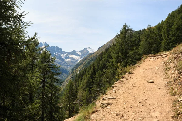 Pohled Horskou Silnici Přes Krásnou Krajinu Útočiště Vittorio Sella Valnontey — Stock fotografie