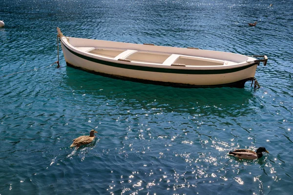 Красивый Вид Лодку Порту Портофино — стоковое фото