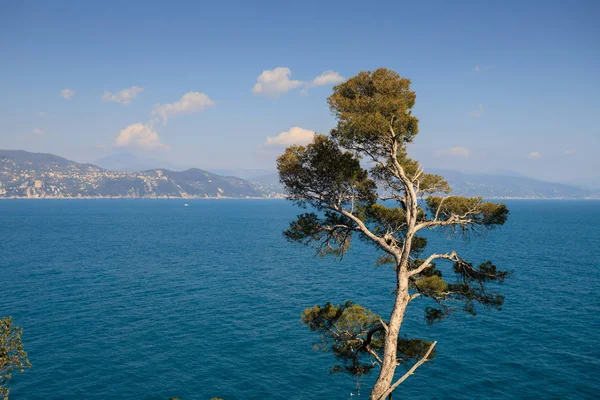 Portofino Dan Güzel Manzara Manzarası — Stok fotoğraf