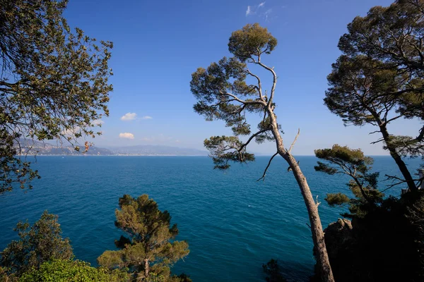 Hermosa Vista Del Paisaje Desde Portofino — Foto de Stock