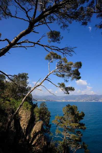 Portofino Dan Güzel Manzara Manzarası — Stok fotoğraf