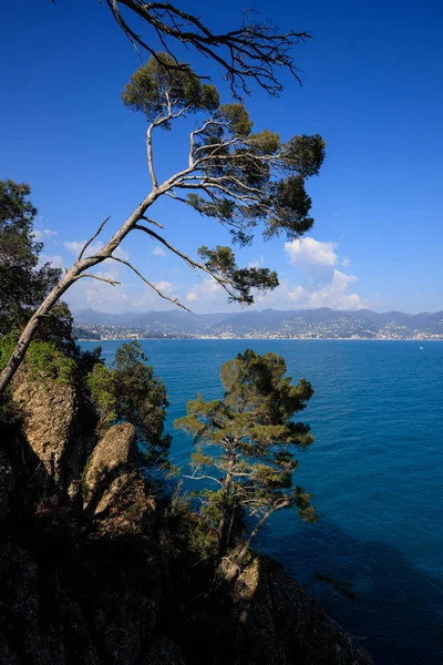 Beautiful Landscape View Portofino — Stock Photo, Image