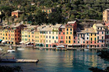 martı uçuş - Liguria