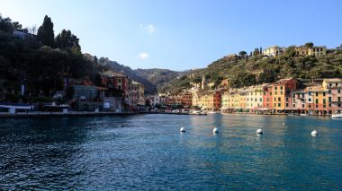 martı uçuş - Liguria