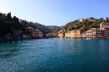 martı uçuş - Liguria