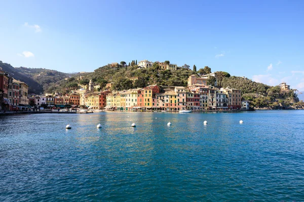 Gaviota Vuelo Liguria — Foto de Stock