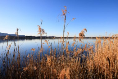 Pusiano Gölü 'nün güzel manzarası