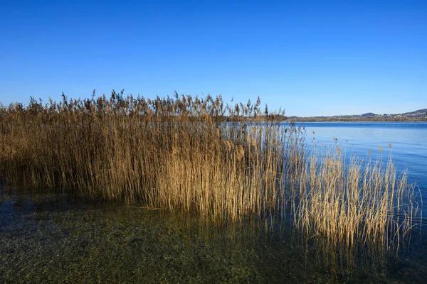 Beautiful View Lake Pusiano — Stock Photo, Image