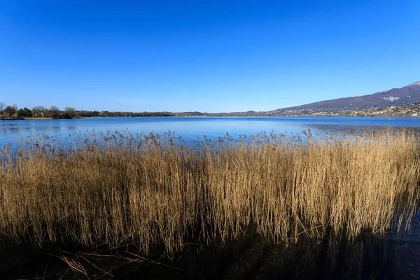 Hermosa Vista Del Lago Pusiano — Foto de Stock