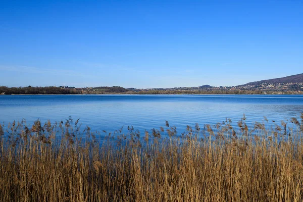 Hermosa Vista Del Lago Pusiano —  Fotos de Stock