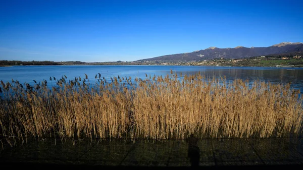 Bela Vista Lago Pusiano — Fotografia de Stock