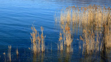Sabah göl manzarası çok güzel.