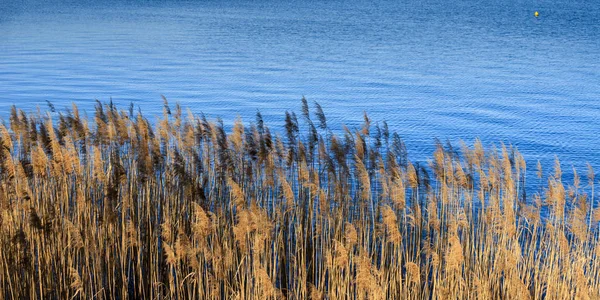 Прекрасный Вид Озеро Пусиано — стоковое фото