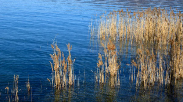 Bela Vista Lago Pela Manhã — Fotografia de Stock