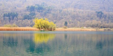 Göl ve ormanlı güzel bir manzara.