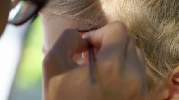 Professioneller Künstler malt Drachenmuster auf das Gesicht eines kleinen Jungen — Stockvideo