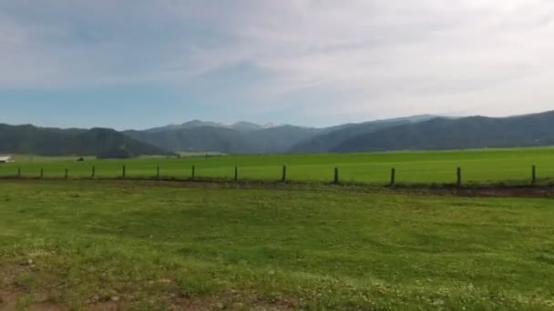 Conduz no campo. Montanhas Altai — Vídeo de Stock