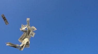 dolarlık banknotlar uçan.