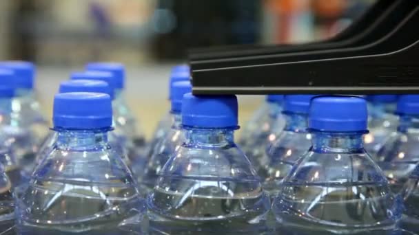 Sok palackozott víz mozog a futószalagon — Stock videók