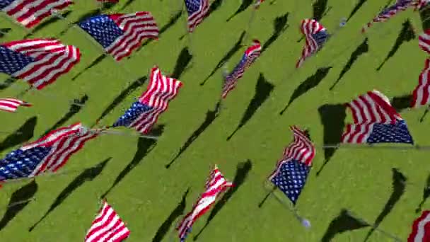 Bandeiras americanas em exibição para o Memorial Day — Vídeo de Stock