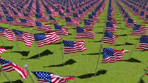 Bandeiras americanas acenando ao vento no campo verde — Vídeo de Stock