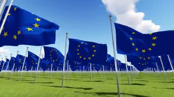 Molte bandiere dell'Unione europea sui pali della bandiera — Video Stock