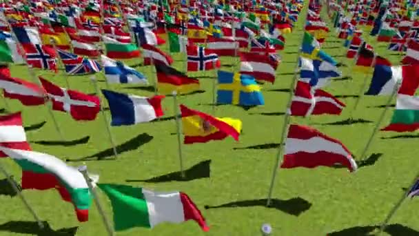 Drapeaux des pays européens dans les champs verts — Video