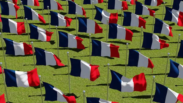Many France Flags on flagpoles in green field. — Stock Photo, Image