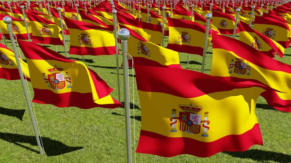 Muitas bandeiras da Espanha acenando ao vento no campo verde — Fotografia de Stock