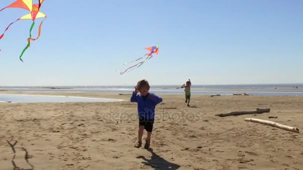 Мальчики бегают с воздушными змеями на пляже . — стоковое видео
