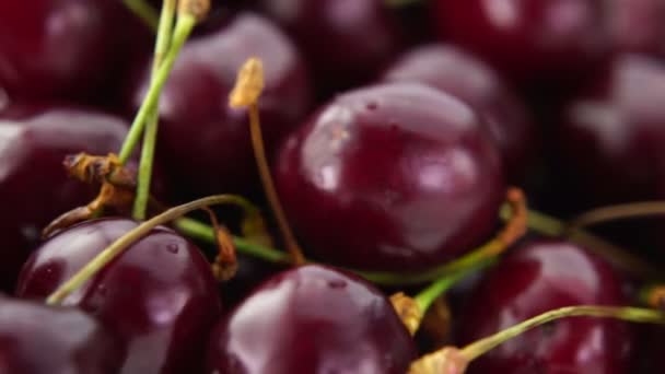 Cerejas frescas, maduras e suculentas giram — Vídeo de Stock