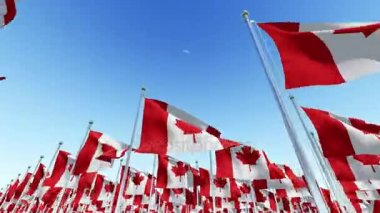 Kanada bayrakları bayrak direklerine mavi gökyüzü karşı