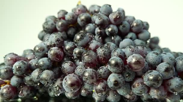 Blue grapes with drops of water — Stock Video