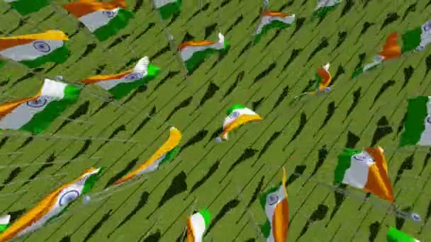 Σημαίες της Ινδίας στο πράσινο πεδίο. 3D — Αρχείο Βίντεο