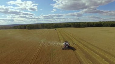 ... tarlada çalışan biçerdöveri birleştirin..