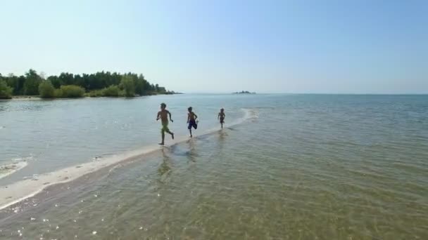 Luchtfoto: Drie gelukkige jongens lopen uit de zee op het strand — Stockvideo