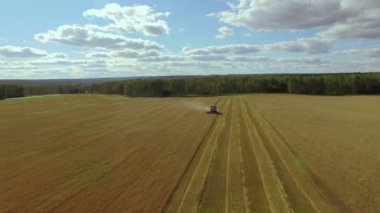 Buğday sahada çalışan birleştirme üzerinde havadan görünümü
