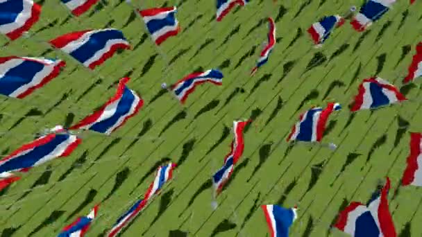 Drapeaux de la Thaïlande dans le champ vert . — Video