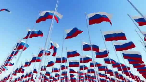 Many Russian flags on flagpoles against blue sky. — Stock Video