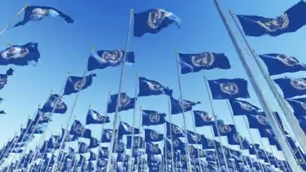 De nombreux drapeaux des Nations Unies sur des mâts de drapeau contre le ciel bleu . — Video